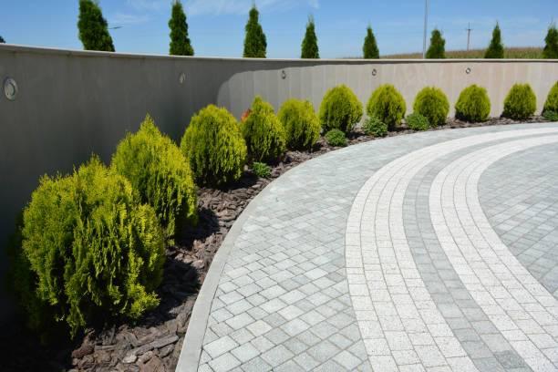 Best Paver Driveway Replacement  in Mountain View, HI